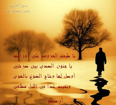 ���� ������